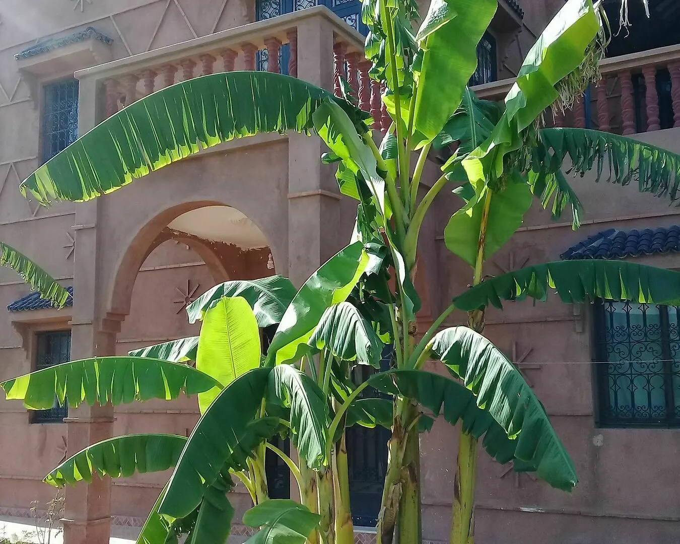 Darga Rouge Hotel Marrakesh Morocco